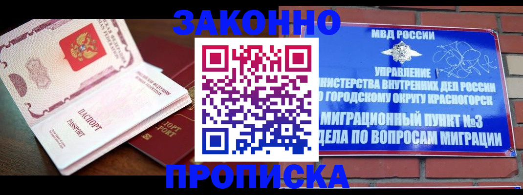 прописка для школы в Мончегорске
